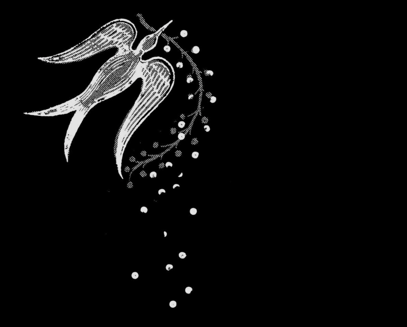 Kliknutím zvětšíte Znělka je tu! Natočil ji pro nás Sergej Loznica