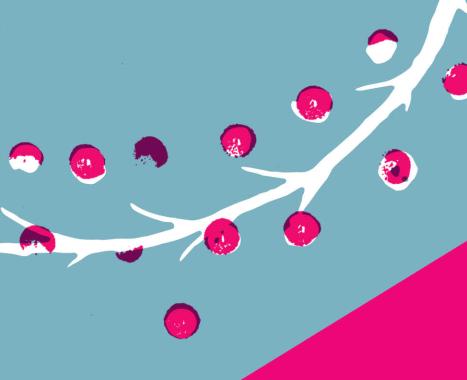 Ji.hlava Online: praktické informace