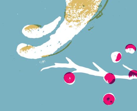 Pozvánky a rozhovory