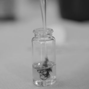 experiment