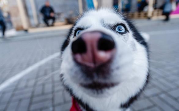 29. Ji.hlava | 29. 10.