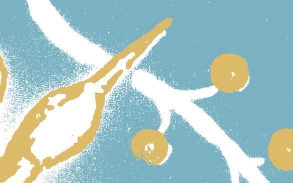 Konference očima studentů