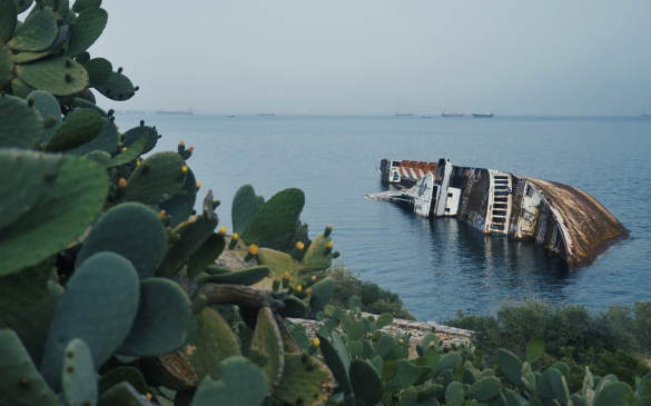 Projects 2026